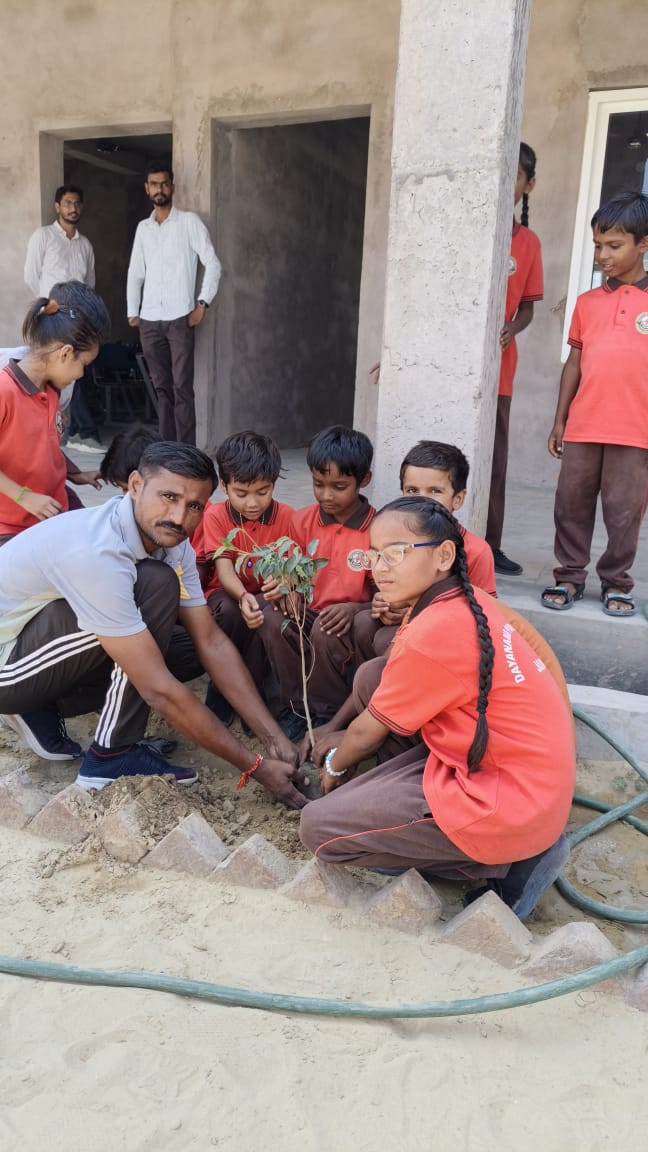 PLANTATION IN THE SCHOOL PREMISES - Image 2